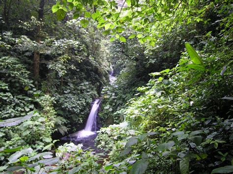 Monteverde Cloud Forest, Costa Rica | Tyler Topics