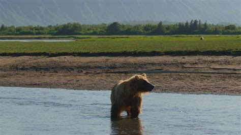 Our Universe Review: Enthralling Docu-Series That Connects Nature With Cosmos | Leisurebyte