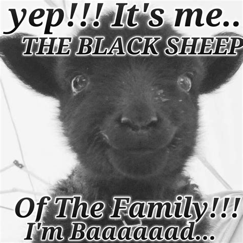 Pin by Joni Roberts on Lol | Black sheep of the family, Black sheep quotes, Black sheep