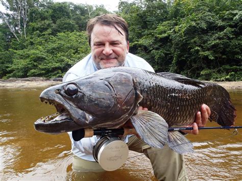 UK Angler Lands Potential Record Wolf Fish in Suriname | OutdoorHub