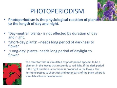 PPT - HORMONES IN PLANTS PowerPoint Presentation, free download - ID ...