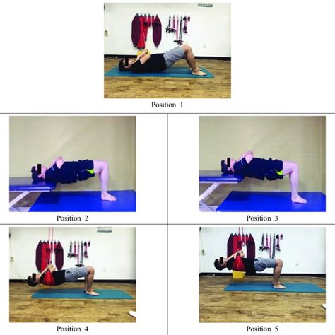 (PDF) The Effects of a Bridging Exercise Applying Changes in the Base of Support for the ...