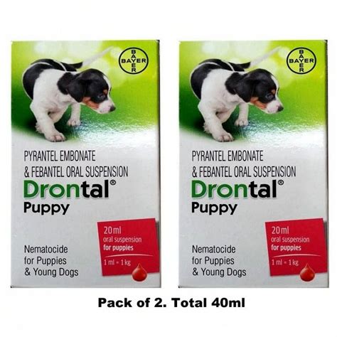 Bayer Elanco Drontal Puppy Dewormer Syrup, 40ml - LoyalPetZone India