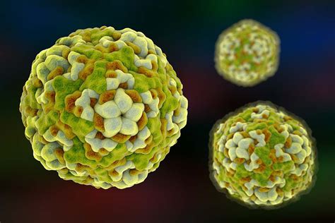 Enterovirus: An explainer - News