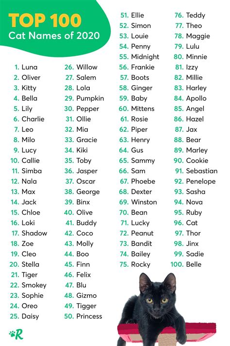 Cats Names Male Black