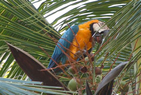 Uruguay and Argentina - Nature and Wildlife by Dr. Alan Harley