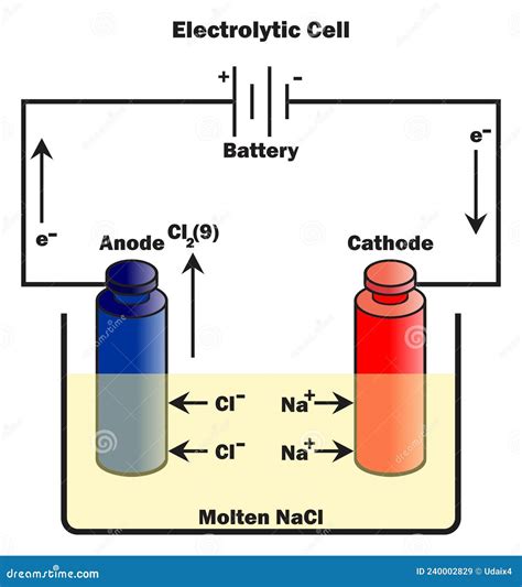 Electrolytic Cell Infographic Diagram with Components Stock Vector - Illustration of education ...