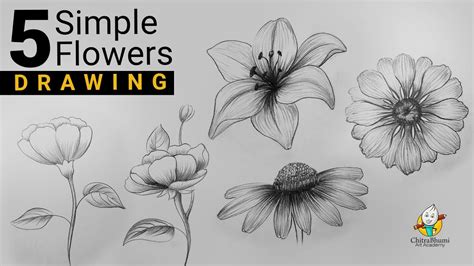 Discover more than 150 flowers drawing pictures pencil super hot ...