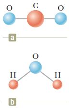 Solved: A Triatomic Molecule Can Have A Linear Configurati... | Chegg.com