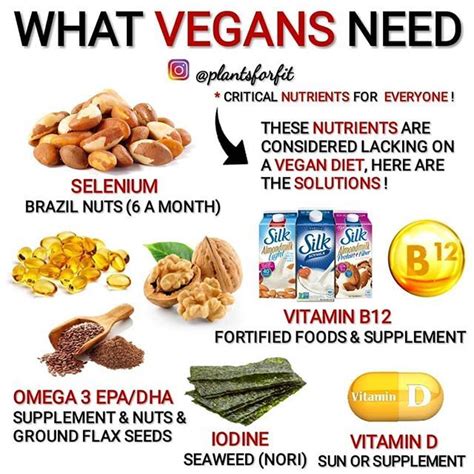 Pin by Courtney Ellens on Vegan and friends | Vegan nutrition, Vegan vitamins, B12 foods vegetarian