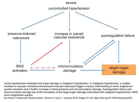 Hypertensive Emergency | RECAPEM