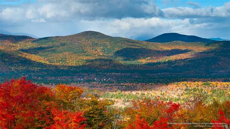 HD wallpaper: Pathway of Light, New Hampshire, Fall | Wallpaper Flare