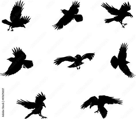 crow, raven, flying, vector, silhouette, image Stock Vector | Adobe Stock