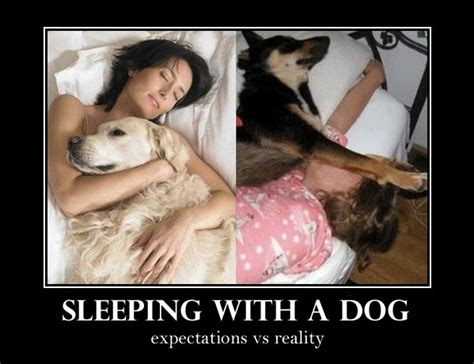 Sleeping Dog Funny Quotes. QuotesGram