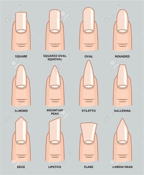 acrylic nail shapes 20 free Cliparts | Download images on Clipground 2024