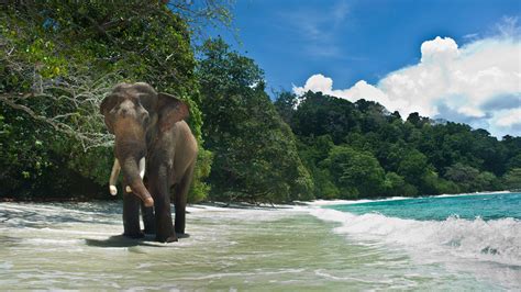 Andaman Islands | What to Do on Andaman | Rough Guides