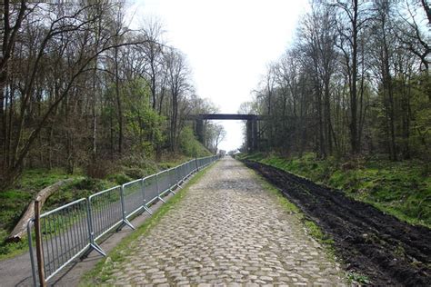 Roads to Ride: The Arenberg Forest