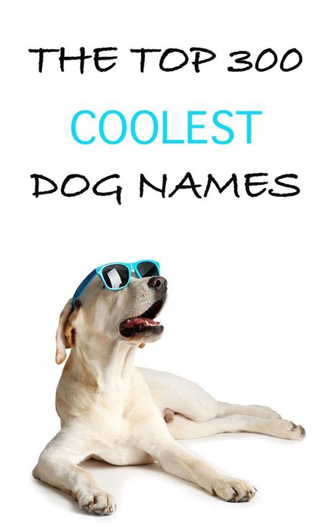 Cool Dog Names - 300 Awesome Puppy Name Ideas | Best dog names, Dog ...