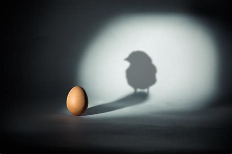 Solving the Chicken-and-the-Egg Problem – “A Step Closer to the ...