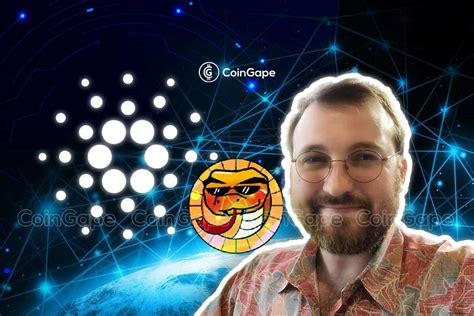 Cardano Founder Takes Notice of This New Meme Coin