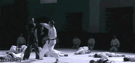 Kung Fu Movie GIFs - Find & Share on GIPHY