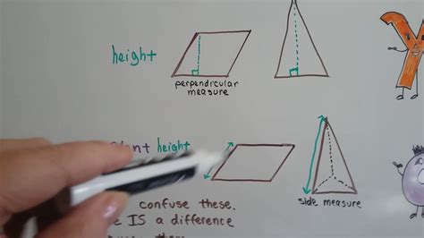 Height vs Slant-height - YouTube