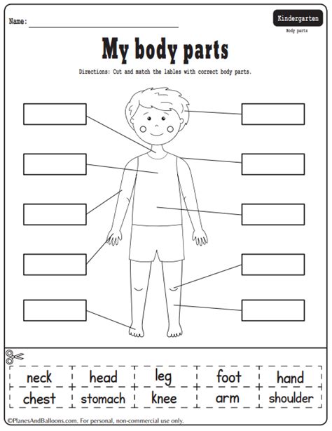 Preschool Body Theme Body Parts Preschool Activities - vrogue.co