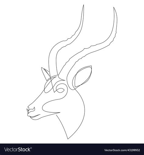 Antelope Head Drawing