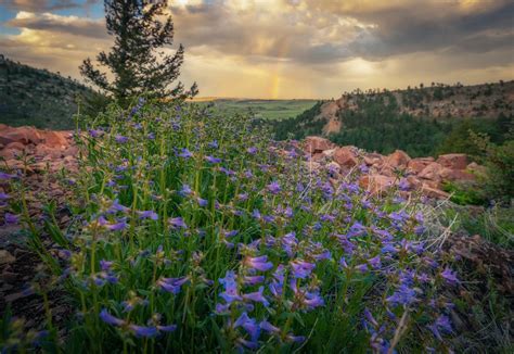 Colorado Parks and Wildlife on Twitter: "You know what they say...after the rain comes the 🌈 📍 ...