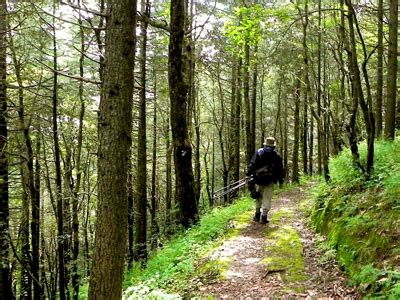 Chail Wildlife Sanctuary, Chail Wildlife, Chail Wildlife in Himachal