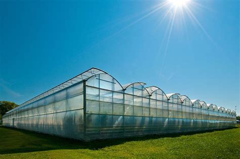 commercial hydroponic greenhouse #hydroponicscommercial | Commercial ...