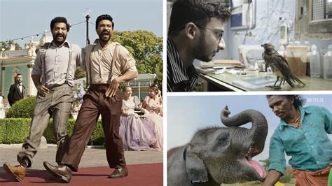 Oscars 2023: India gets three nominations, here's the full list of nominees