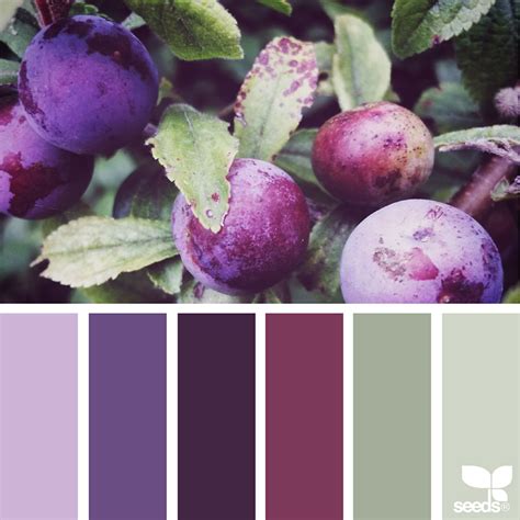 Nature-Inspired Color Palettes AKA Design Seeds For Designers, Crafters And Home Decorators ...