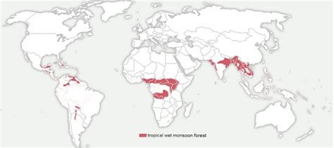 Tropical Monsoon Forests - GKToday