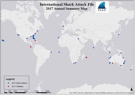 The International Shark Attack File Just Released Their 2017 Report on ...