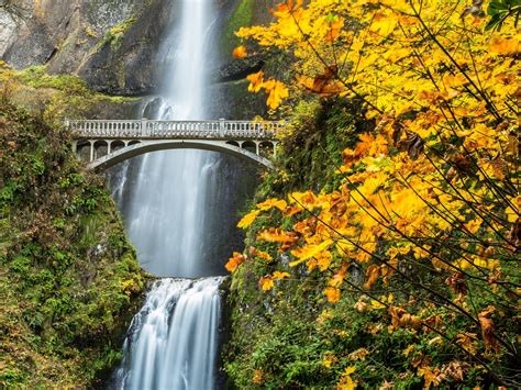 Autumn Oregon Wallpapers - Wallpaper Cave