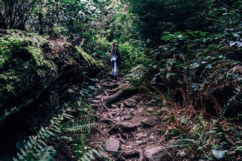 Lighthouse Park Trails in West Vancouver | Nikon D5200 Insta… | Flickr