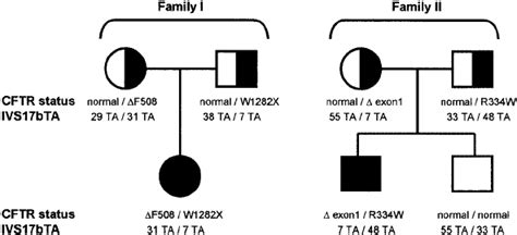 Pedigrees of the two families showing cystic fi brosis transmembrane ...