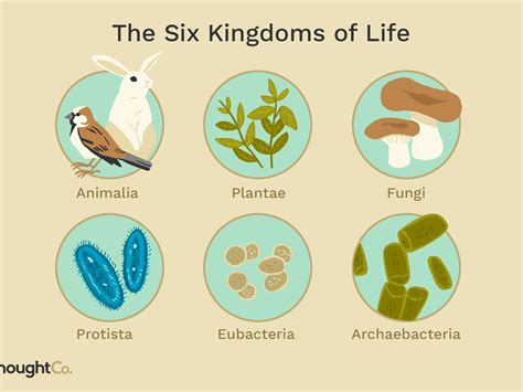 How Many Living Things Are On Earth Right Now - The Earth Images Revimage.Org