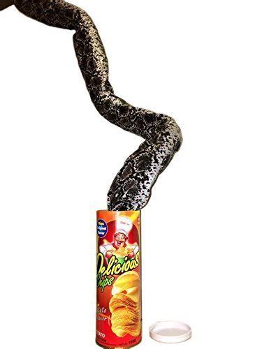 Buy B&E Life The Potato Chip Snake Can Jump Spring Snake Toy Gift April ...