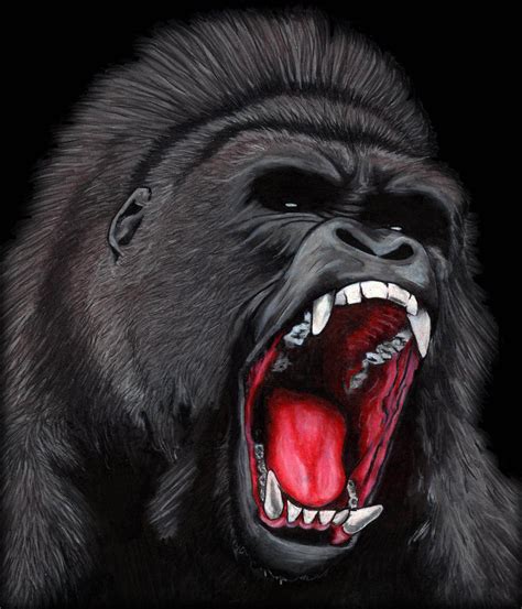 angry gorilla roar clipart 10 free Cliparts | Download images on Clipground 2024