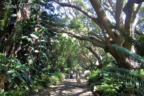 Kirstenbosch National Botanical Garden Map Download - ToursMaps.com