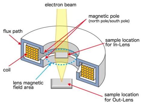 Difference Between Light and Electron Microscopes