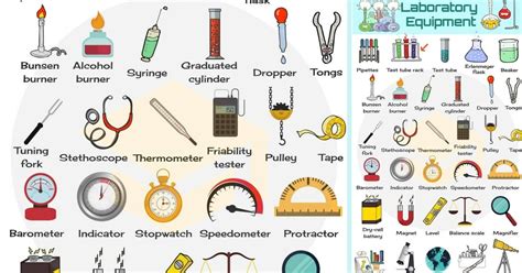 Visual Vocabulary Archives • 7ESL | Laboratory equipment, Lab equipment ...