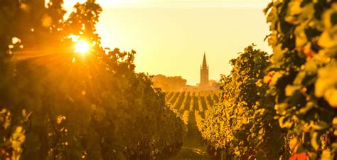 The Vineyards of Bordeaux at a Glance - Vineyards Bordeaux