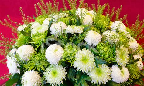 White Chrysanthemum Flowers Bouquet Stock Photo | Royalty-Free | FreeImages