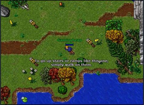 Gamingheap: Tibia MMORPG - First Impressions