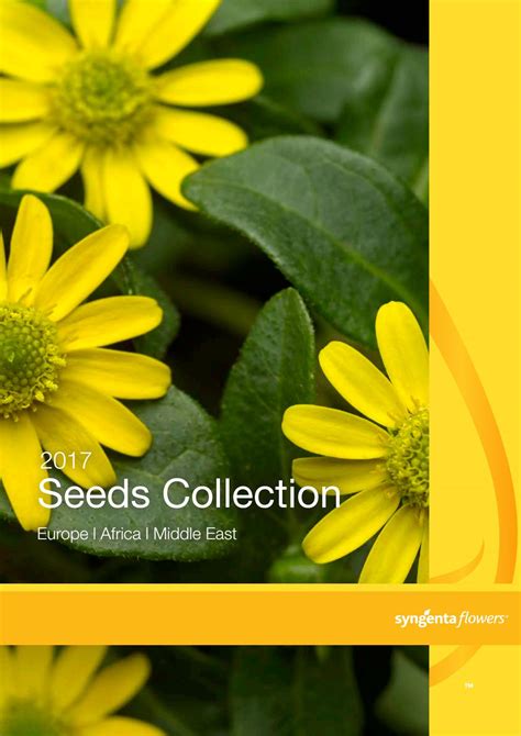 Syngenta Flowers Seeds Collection 2017 by Syngenta Flowers Europe - Issuu