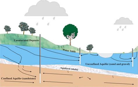 Wisconsin Groundwater – the Policy and Science of Depletion and Nitrate Contamination