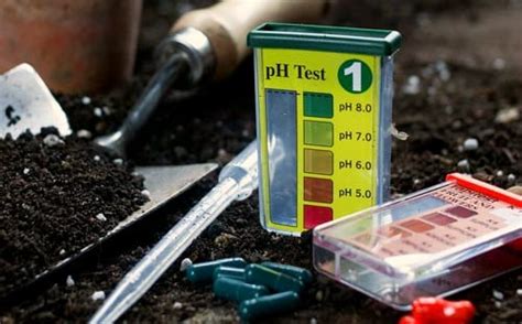 Soil pH Testers-Are They Accurate? - Garden Myths